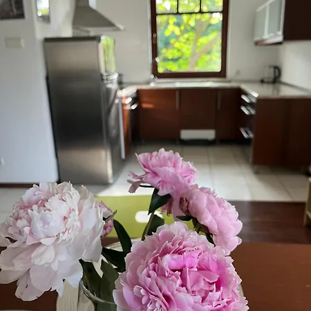 Apartman Agapella Apartamenty- Karlikowski *